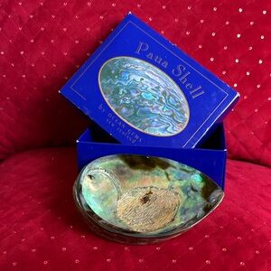 Paua Shell Decorative Bowl